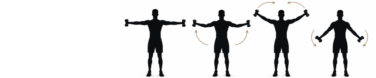Instructions to do arm circles with dumbbells