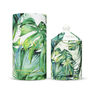 MEWS COLLECTIVE - Mews Collective Green Sage & Cedar Candle 320g MEWS COLLECTIVE - Mews Collective Green Sage & Cedar Candle 320g
