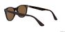RAY-BAN - راي بان وايفرير II كلاسيك rb2185 RAY-BAN - راي بان وايفرير II كلاسيك rb2185