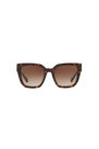 Coach - Tortoise Square HC8249 Coach - Tortoise Square HC8249