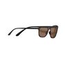 QUECHUA - Unique Size Category 3 Hiking Sunglasses MH160 - Brown and, Ebony QUECHUA - Unique Size Category 3 Hiking Sunglasses MH160 - Brown and, Ebony
