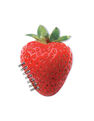 LA CHAISE LONGUE - Carnet Fraise LA CHAISE LONGUE - Carnet Fraise