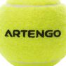 ARTENGO - Turnball tennis ball ARTENGO - Turnball tennis ball