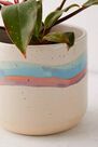 Urban Outfitters - ASSORT Soft Stripe Ceramic Planter Urban Outfitters - ASSORT Soft Stripe Ceramic Planter