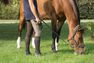 FOUGANZA - 180 full seat horse riding jodhpurs - brown, 3XL FOUGANZA - 180 full seat horse riding jodhpurs - brown, 3XL