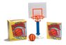 PERSEUS BOOKS GROUP USA - Desktop Basketball PERSEUS BOOKS GROUP USA - Desktop Basketball