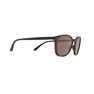 QUECHUA - Unique Size Category 3 Hiking Sunglasses MH160 - Brown and, Ebony QUECHUA - Unique Size Category 3 Hiking Sunglasses MH160 - Brown and, Ebony