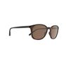 QUECHUA - Unique Size Category 3 Hiking Sunglasses MH160 - Brown and, Ebony QUECHUA - Unique Size Category 3 Hiking Sunglasses MH160 - Brown and, Ebony