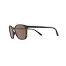 QUECHUA - Unique Size Category 3 Hiking Sunglasses MH160 - Brown and, Ebony QUECHUA - Unique Size Category 3 Hiking Sunglasses MH160 - Brown and, Ebony