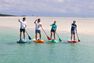 ITIWIT - 210 Cm 100 Adjustable Split Stand-Up Paddle (Sup) Paddle 170 - Caribbean Blue ITIWIT - 210 Cm 100 Adjustable Split Stand-Up Paddle (Sup) Paddle 170 - Caribbean Blue