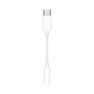 APPLE - Apple USB-C to 3.5 mm Headphone Jack Adapter APPLE - Apple USB-C to 3.5 mm Headphone Jack Adapter