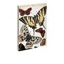 JAY - Jay Biologica Butterfly Notebook JAY - Jay Biologica Butterfly Notebook