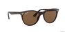 RAY-BAN - راي بان وايفرير II كلاسيك rb2185 RAY-BAN - راي بان وايفرير II كلاسيك rb2185