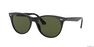 RAY-BAN - راي بان وايفرير II كلاسيك rb2185 RAY-BAN - راي بان وايفرير II كلاسيك rb2185