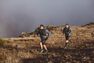 EVADICT - XS/S Mixed Ultra Trail Running Bag 15 L - Black/Bronze EVADICT - XS/S Mixed Ultra Trail Running Bag 15 L - Black/Bronze