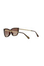 Coach - كوتش hc8257u Coach - كوتش hc8257u