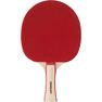 PONGORI - STRAIGHT Free Table Tennis Bat PPR 130, Default PONGORI - STRAIGHT Free Table Tennis Bat PPR 130, Default