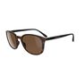 QUECHUA - Unique Size Category 3 Hiking Sunglasses MH160 - Brown and, Ebony QUECHUA - Unique Size Category 3 Hiking Sunglasses MH160 - Brown and, Ebony