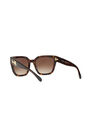 Coach - Tortoise Square HC8249 Coach - Tortoise Square HC8249