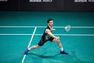 PERFLY - Unique Size BADMINTON ADULT RACKET BR 930 C, Default PERFLY - Unique Size BADMINTON ADULT RACKET BR 930 C, Default