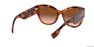 BURBERRY - Tortoise Butterfly Burberry BE4294 BURBERRY - Tortoise Butterfly Burberry BE4294