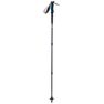 QUECHUA - 1 mountain walking pole f500 antishock grey QUECHUA - 1 mountain walking pole f500 antishock grey
