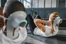 NYAMBA - Ergonomic And Compact Abs Exerciser 100 - Grey NYAMBA - Ergonomic And Compact Abs Exerciser 100 - Grey