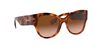 BURBERRY - Tortoise Butterfly Burberry BE4294 BURBERRY - Tortoise Butterfly Burberry BE4294