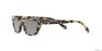 MIU MIU - Gold Cat Eye Miu Miu MU 10US MIU MIU - Gold Cat Eye Miu Miu MU 10US