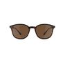 QUECHUA - Unique Size Category 3 Hiking Sunglasses MH160 - Brown and, Ebony QUECHUA - Unique Size Category 3 Hiking Sunglasses MH160 - Brown and, Ebony