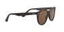 RAY-BAN - راي بان وايفرير II كلاسيك rb2185 RAY-BAN - راي بان وايفرير II كلاسيك rb2185