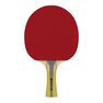 PONGORI - Set Of 2 Ttr 100 3* All-Round Table Tennis Bats And 3 Ttb 100* 40+ Balls Orange - Black PONGORI - Set Of 2 Ttr 100 3* All-Round Table Tennis Bats And 3 Ttb 100* 40+ Balls Orange - Black