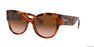 BURBERRY - Tortoise Butterfly Burberry BE4294 BURBERRY - Tortoise Butterfly Burberry BE4294