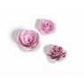 SIZZIX - Sizzix Bigz Die Flowers 3-D by Beth Reames SIZZIX - Sizzix Bigz Die Flowers 3-D by Beth Reames