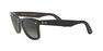RAY-BAN - Black Square Ray-Ban RB2140 ORIGINAL WAYFARER COLOR MIX RAY-BAN - Black Square Ray-Ban RB2140 ORIGINAL WAYFARER COLOR MIX