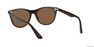 RAY-BAN - راي بان وايفرير II كلاسيك rb2185 RAY-BAN - راي بان وايفرير II كلاسيك rb2185