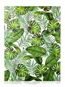 SKINNY DIP - Skinny Dip Notebook Dominica SKINNY DIP - Skinny Dip Notebook Dominica