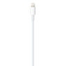 APPLE - Apple USB-C to Lightning Cable 1M APPLE - Apple USB-C to Lightning Cable 1M
