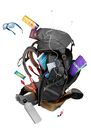 FORCLAZ - Travel 500 Men's Trekking 50 Litre Lockable Backpack - Grey, 50L FORCLAZ - Travel 500 Men's Trekking 50 Litre Lockable Backpack - Grey, 50L