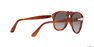 PERSOL - Tortoise Pilot Persol PO0649 PERSOL - Tortoise Pilot Persol PO0649