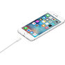 APPLE - Apple Lightning to USB Cable 1M APPLE - Apple Lightning to USB Cable 1M