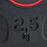 DOMYOS - 2.5 Kg Rubber Weight Disc 28 Mm - 2.5 Kg - Black DOMYOS - 2.5 Kg Rubber Weight Disc 28 Mm - 2.5 Kg - Black