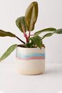 Urban Outfitters - ASSORT Soft Stripe Ceramic Planter Urban Outfitters - ASSORT Soft Stripe Ceramic Planter