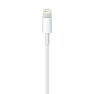 APPLE - Apple Lightning to USB Cable 1M APPLE - Apple Lightning to USB Cable 1M