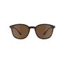 QUECHUA - Unique Size Category 3 Hiking Sunglasses MH160 - Brown and, Ebony QUECHUA - Unique Size Category 3 Hiking Sunglasses MH160 - Brown and, Ebony
