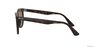 RAY-BAN - راي بان وايفرير II كلاسيك rb2185 RAY-BAN - راي بان وايفرير II كلاسيك rb2185
