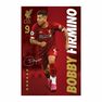 PYRAMID POSTERS - Pyramid Posters Liverpool FC Bobby Firmino PYRAMID POSTERS - Pyramid Posters Liverpool FC Bobby Firmino