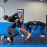 OUTSHOCK - Medium JJB NoGi / Grappling 500 Leggings, Black OUTSHOCK - Medium JJB NoGi / Grappling 500 Leggings, Black