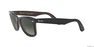 RAY-BAN - Black Square Ray-Ban RB2140 ORIGINAL WAYFARER COLOR MIX RAY-BAN - Black Square Ray-Ban RB2140 ORIGINAL WAYFARER COLOR MIX
