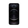 APPLE - iPhone 12 Pro Max 5G 256GB Graphite APPLE - iPhone 12 Pro Max 5G 256GB Graphite